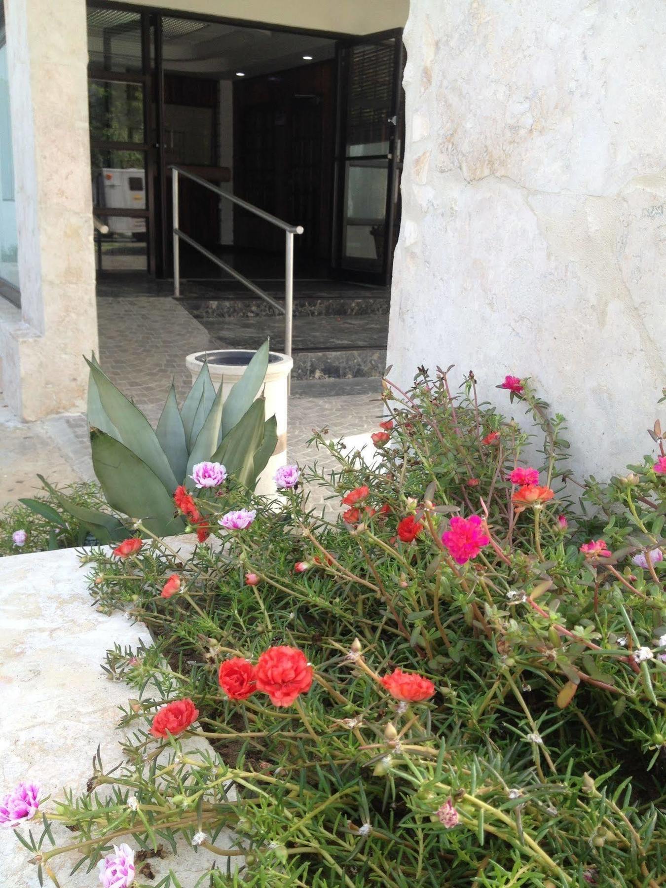 Arecibo Inn Exterior photo
